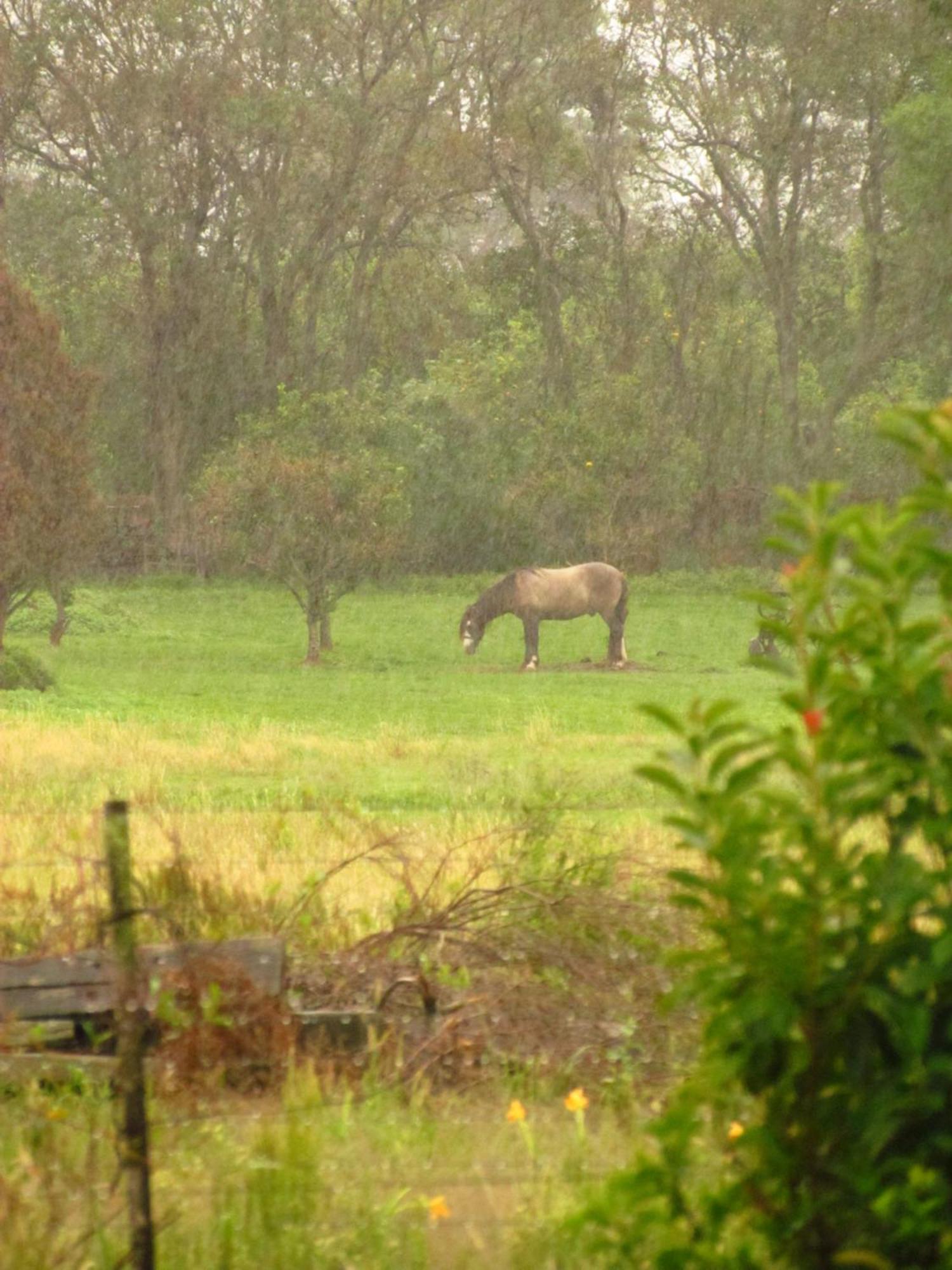 Idilia Hogar De Campo Con Vista Al Rio *
