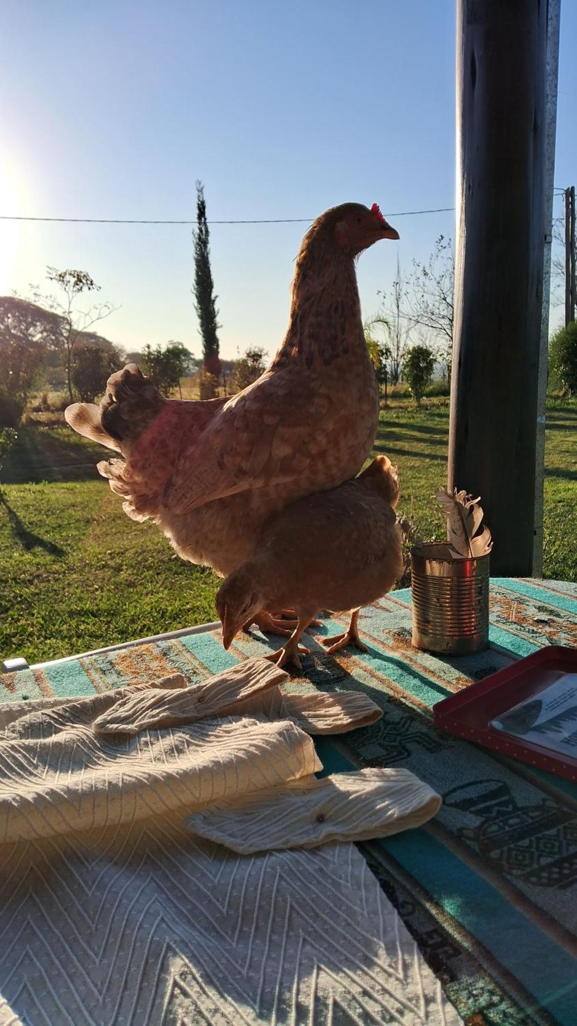 Idilia Hogar De Campo Con Vista Al Rio Holiday home